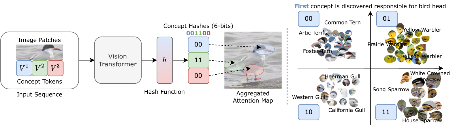 ConceptHash — hash bits as interpretable semantic visual concepts